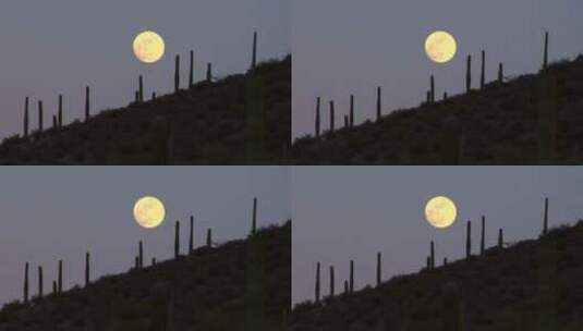 天空中的一轮明月高清在线视频素材下载