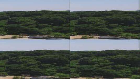 湖南岳阳洞庭湖君山岛竖屏航拍高清在线视频素材下载