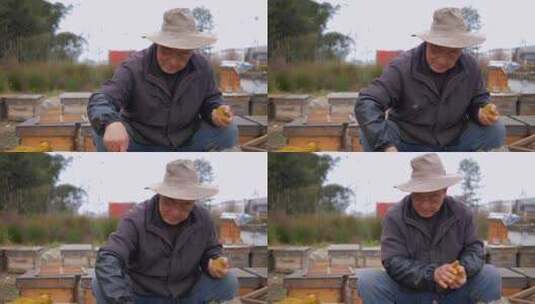养蜂人在养蜂场工作喂养蜜蜂花粉高清在线视频素材下载