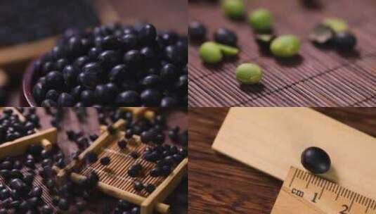 黑豆 有机绿芯黑豆 黑豆芽五谷杂粮高清在线视频素材下载