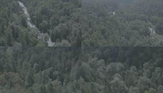 航拍森林长白山高清在线视频素材下载