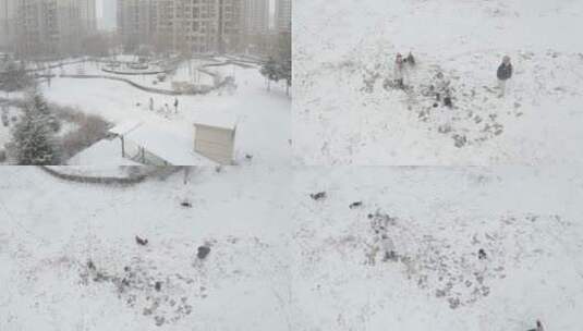 航拍冬天雪景-城市雪景小区冬天高清在线视频素材下载