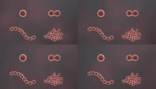 医学病原体病毒病原体病菌细菌医学三维动画高清在线视频素材下载