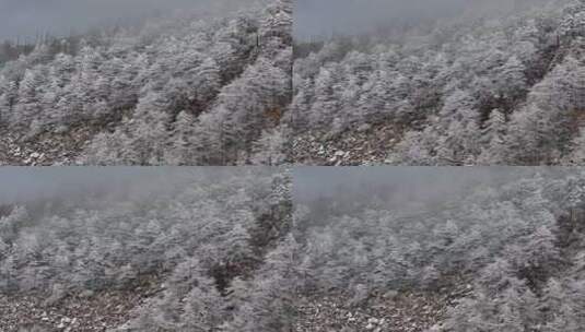 秦岭朱雀国家森林公园（冰晶顶）雪景航拍高清在线视频素材下载