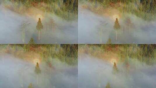 湖北利川大茅坡清晨曙光与云海山雾佛光呈现高清在线视频素材下载