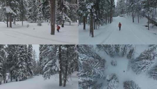航拍男人走在大雪覆盖的喀纳斯森林中合集高清在线视频素材下载