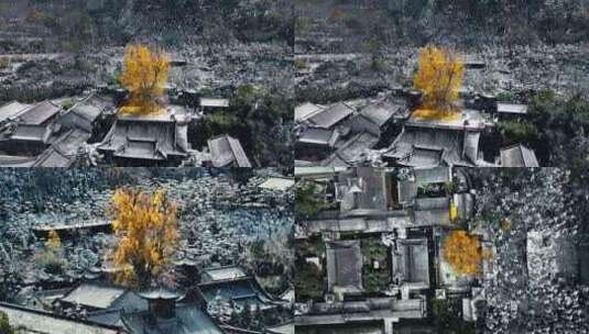 西安古观音禅寺千年银杏树雪景航拍高清在线视频素材下载