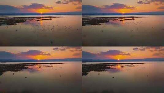 4k贵州威宁草海黑颈鹤栖息地升格航拍高清在线视频素材下载