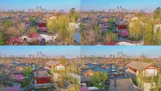 申园春天 上海春天 上海 世博文化公园高清在线视频素材下载
