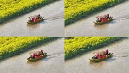 航拍扬州高邮湖上花海油菜花游船长焦高清在线视频素材下载