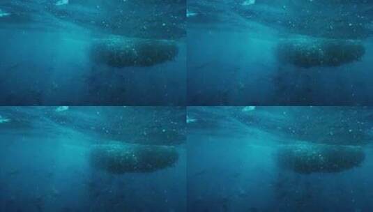 4K-海底鱼群高清在线视频素材下载