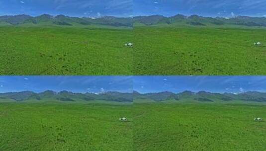 新疆那拉提空中草原HDR航拍高清在线视频素材下载