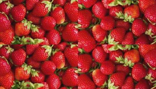 草莓水果 一堆草莓 鲜红的草莓高清在线视频素材下载