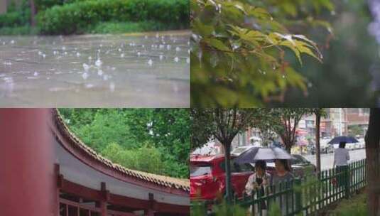 下雨季节树叶积水打伞行人高清在线视频素材下载