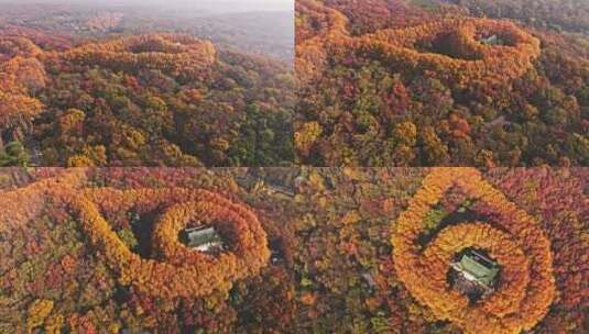 南京钟山风景区秋景高清在线视频素材下载