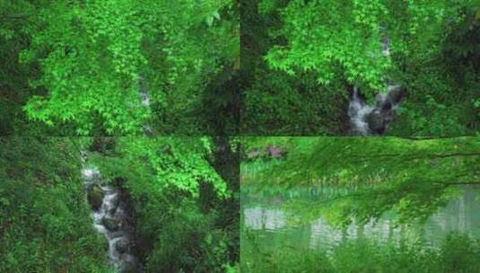 春雨春天自然风景空镜合集高清在线视频素材下载