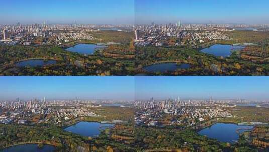 江苏南京灵山风景区前湖秋天秋色航拍高清在线视频素材下载