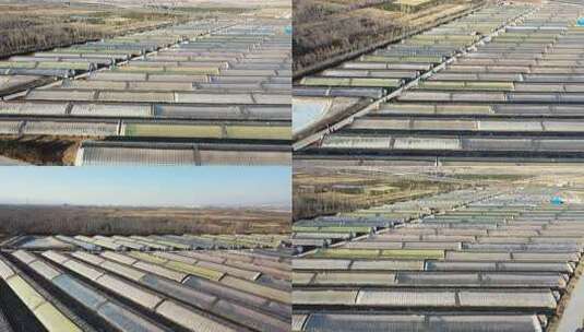 航拍冬日温室大棚种植基地高清在线视频素材下载