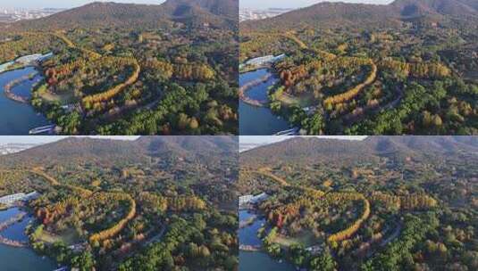 江苏南京灵山风景区前湖秋天秋色航拍高清在线视频素材下载