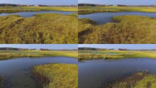 航拍秋季乌兰布统草原湖泊湿地风景高清在线视频素材下载