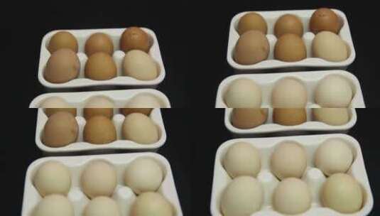收纳鸡蛋鸡蛋架子高清在线视频素材下载