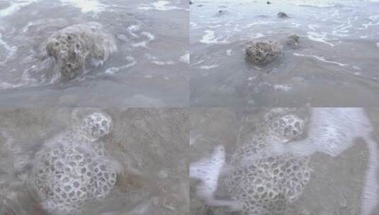 雷州海边石头.mp4高清在线视频素材下载