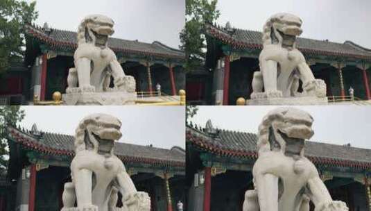4K实拍颐和园遗址公园门前的石刻狮子高清在线视频素材下载