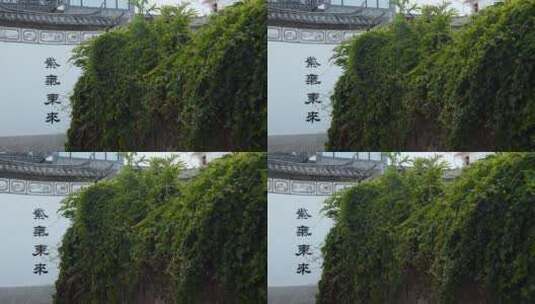 照壁视频云南大理白族民居照壁飞檐高清在线视频素材下载