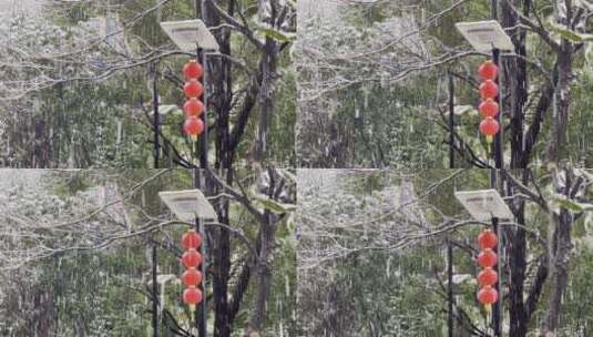 下雪天公园路旁挂红灯笼的路灯高清在线视频素材下载