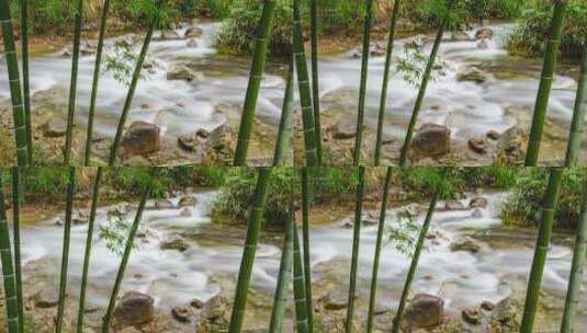 竹林小溪流原生态空灵意境风光延时摄影高清在线视频素材下载