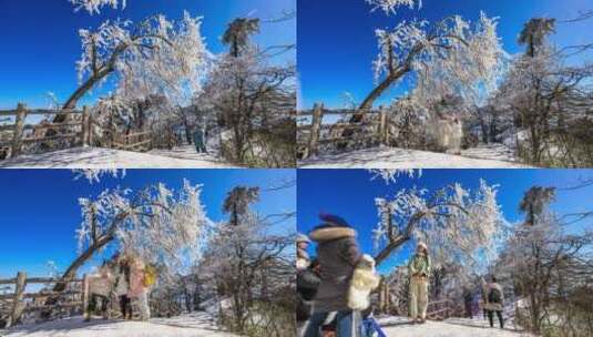 黄山冬季雾凇风光延时摄影高清在线视频素材下载