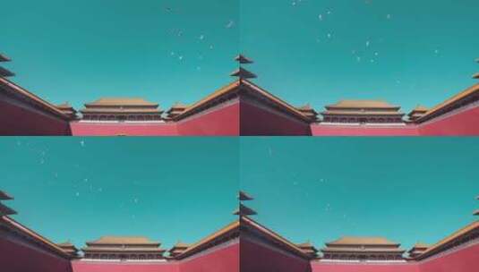 鸽子飞翔在故宫午门上空高清在线视频素材下载