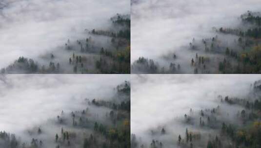 无人机俯瞰云海山顶壮丽高清在线视频素材下载