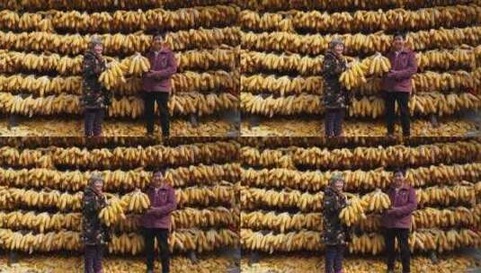 中国南方农村晾晒包谷丰收场景4K实拍高清在线视频素材下载