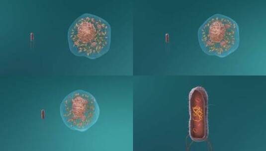 病毒 病菌 病原体 传染病毒 流感病毒高清在线视频素材下载