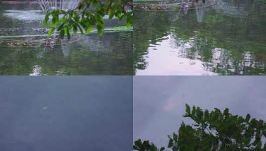 河边树叶树枝水中倒影高清在线视频素材下载