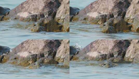 海浪拍打礁石江河湖海高清在线视频素材下载