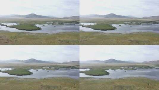水草茂盛的湿地高清在线视频素材下载