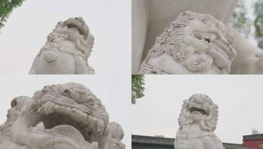 古建筑前威武霸气的石狮子雕像高清在线视频素材下载