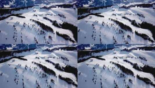 航拍滑雪场全景高清在线视频素材下载