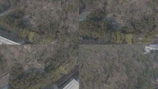 湖北武汉被树木覆盖的房屋山丘航拍高清在线视频素材下载