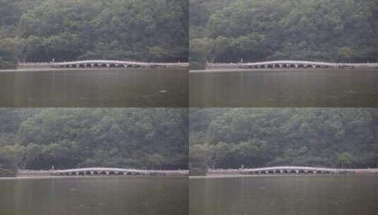 深圳仙湖植物园高清在线视频素材下载