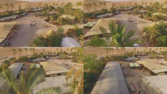 沙漠中的热带党村高清在线视频素材下载