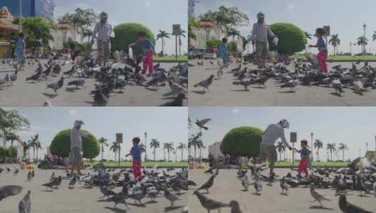 东南亚柬埔寨本地人在户外玩耍 鸽子飞舞高清在线视频素材下载