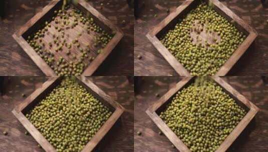 豆子绿豆下降 丰收 乡村振兴高清在线视频素材下载