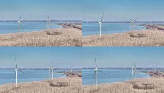 航拍湖泊风力发电机组乡村振兴环保新能源高清在线视频素材下载