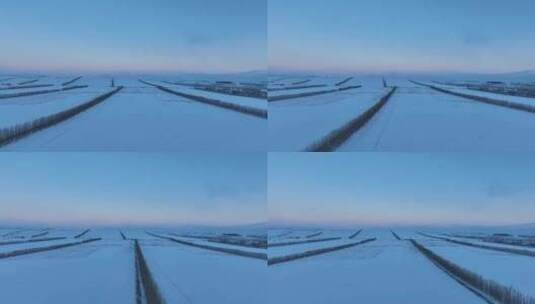北方冬天农田雪景高清在线视频素材下载