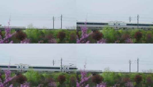 春天的郊外高铁飞驰高清在线视频素材下载