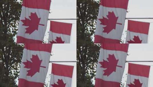 安装在伦敦高级专员公署的加拿大国旗又名枫高清在线视频素材下载