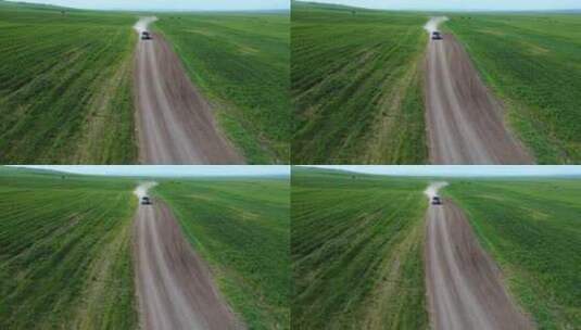 绿色田野行驶的汽车高清在线视频素材下载